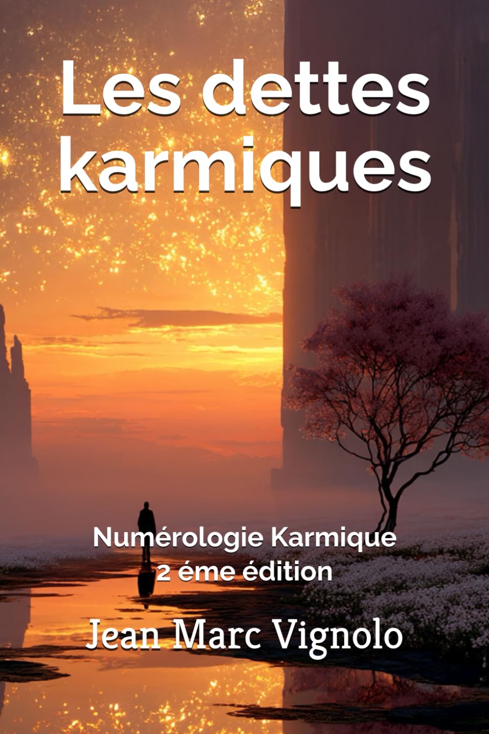 Les dettes karmiques: Numérologie Karmique (Numérologie pratique) Religion & Esotericism