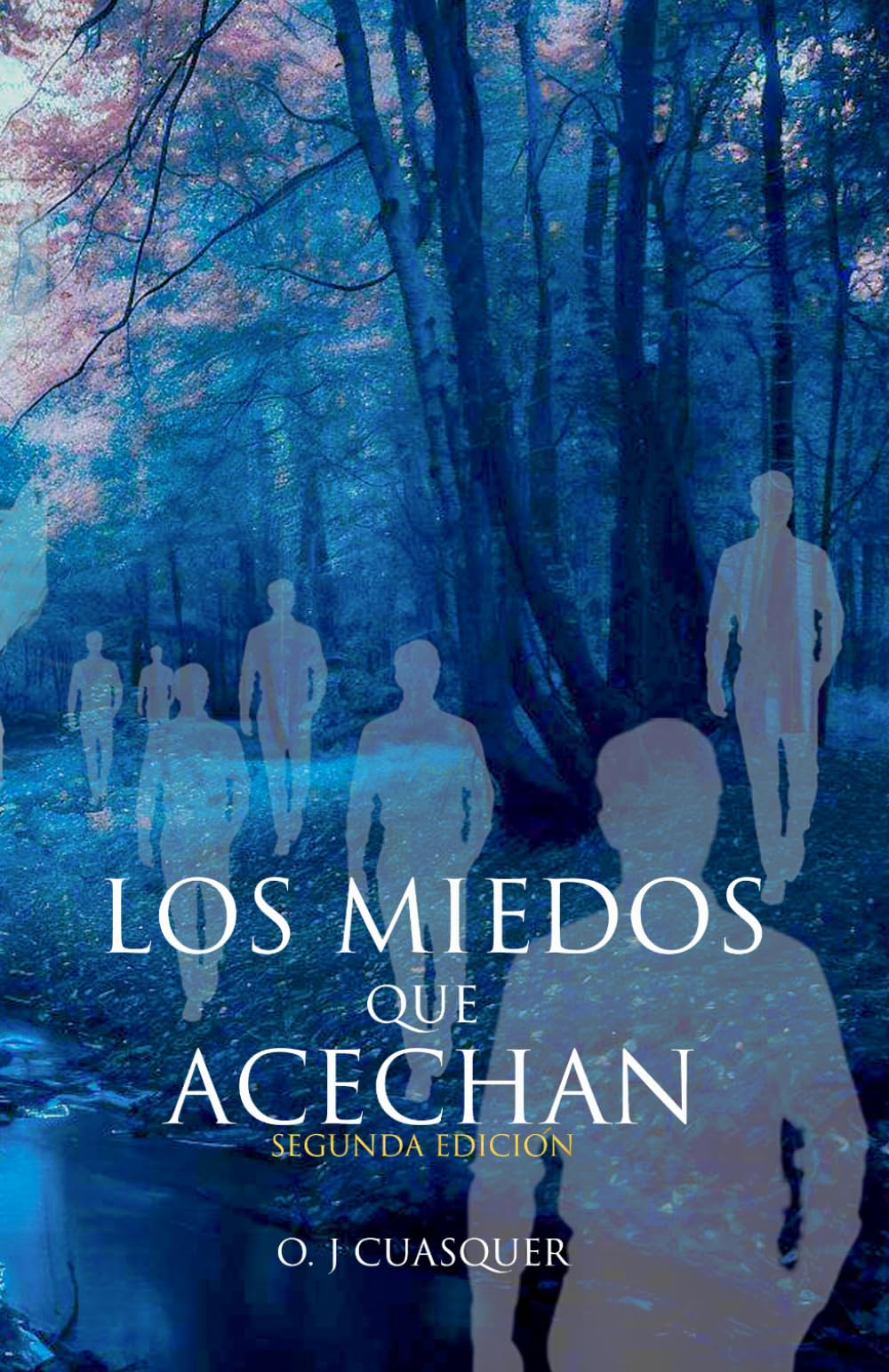 LOS MIEDOS QUE ACECHAN - Segunda Edición: Relatos de Terror book