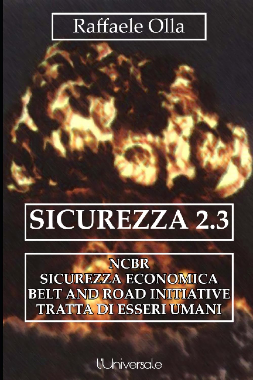 Sicurezza 2.3: NCBR, sicurezza economica, belt and road initiative, tratta di esseri umani Social Sciences