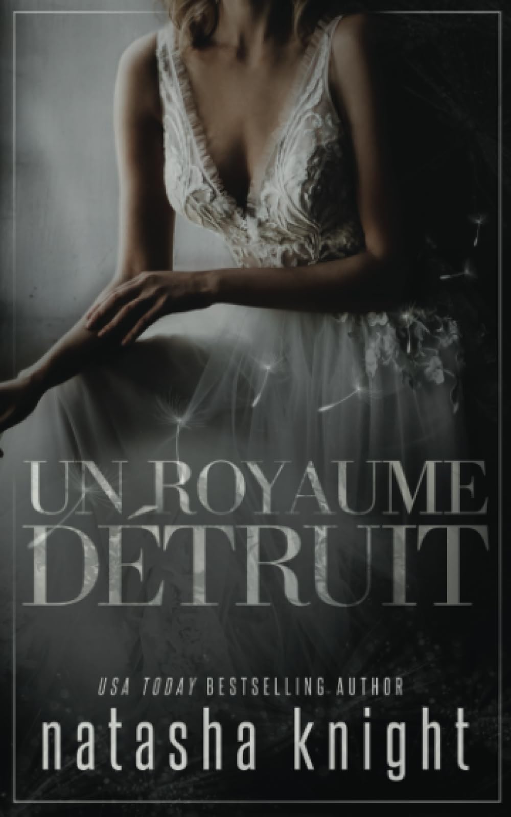 Un royaume détruit (La duologie du Royaume détruit, Band 1) Contemporary literature