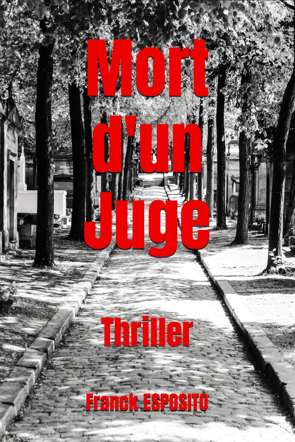Mort d'un Juge: Thriller book