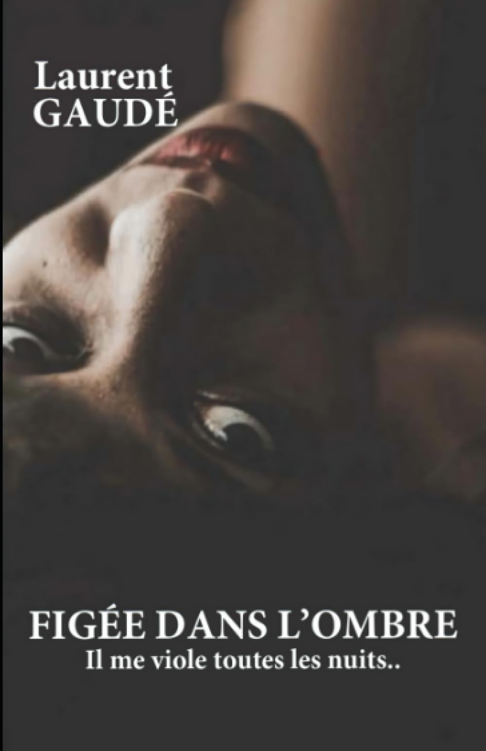 FIGÉE DANS L'OMBRE: Il me viole toutes les nuits.. book