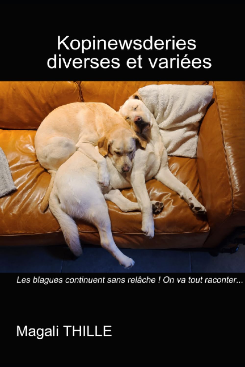 Kopinewsderies diverses et variées book