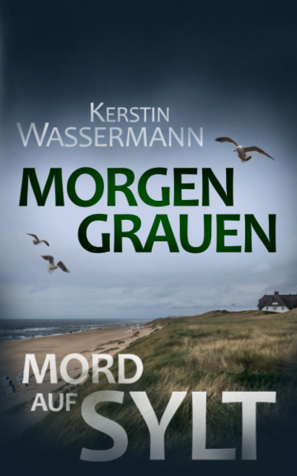 Morgengrauen: Mord auf Sylt Detective & CSI