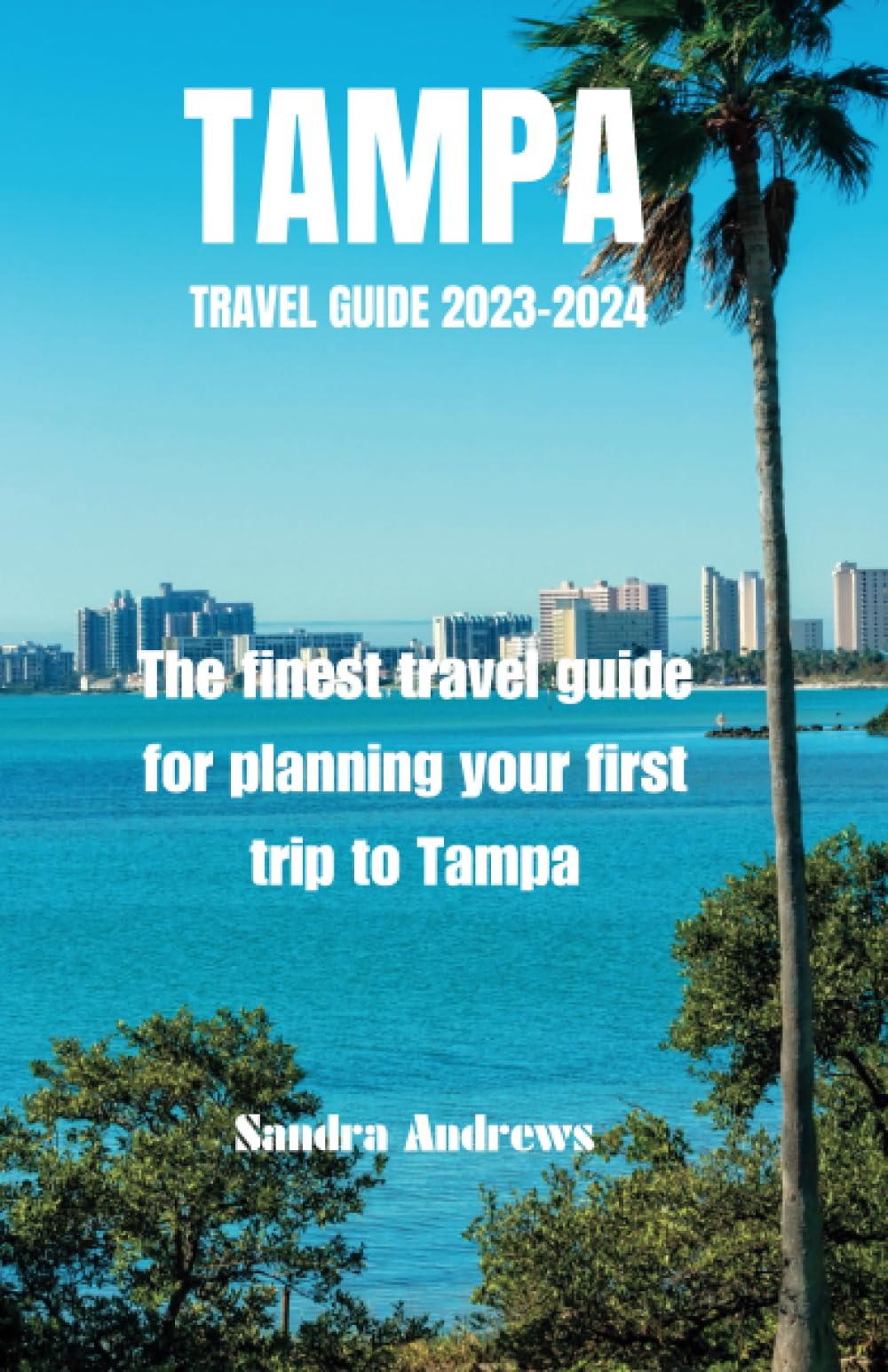 TAMPA Travel guide 2023-2024: The finest travel guide for planning your first trip to Tampa Leisure, Home & Garden
