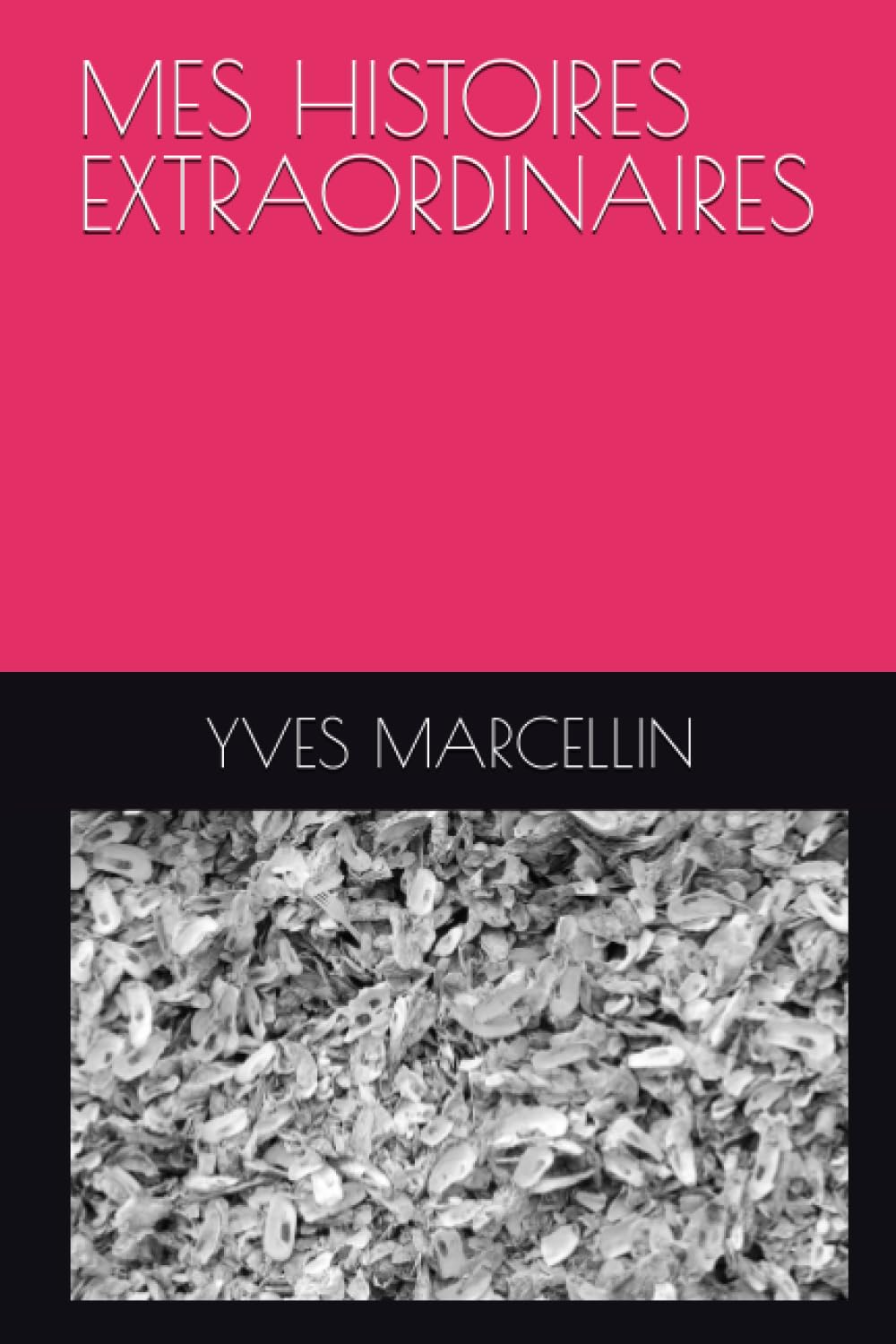 MES HISTOIRES EXTRAORDINAIRES book