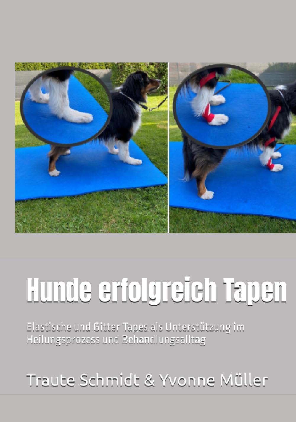 Hunde erfolgreich Tapen: Elastische und Gitter Tapes als Unterstützung im Heilungsprozess und Behandlungsalltag Medicine