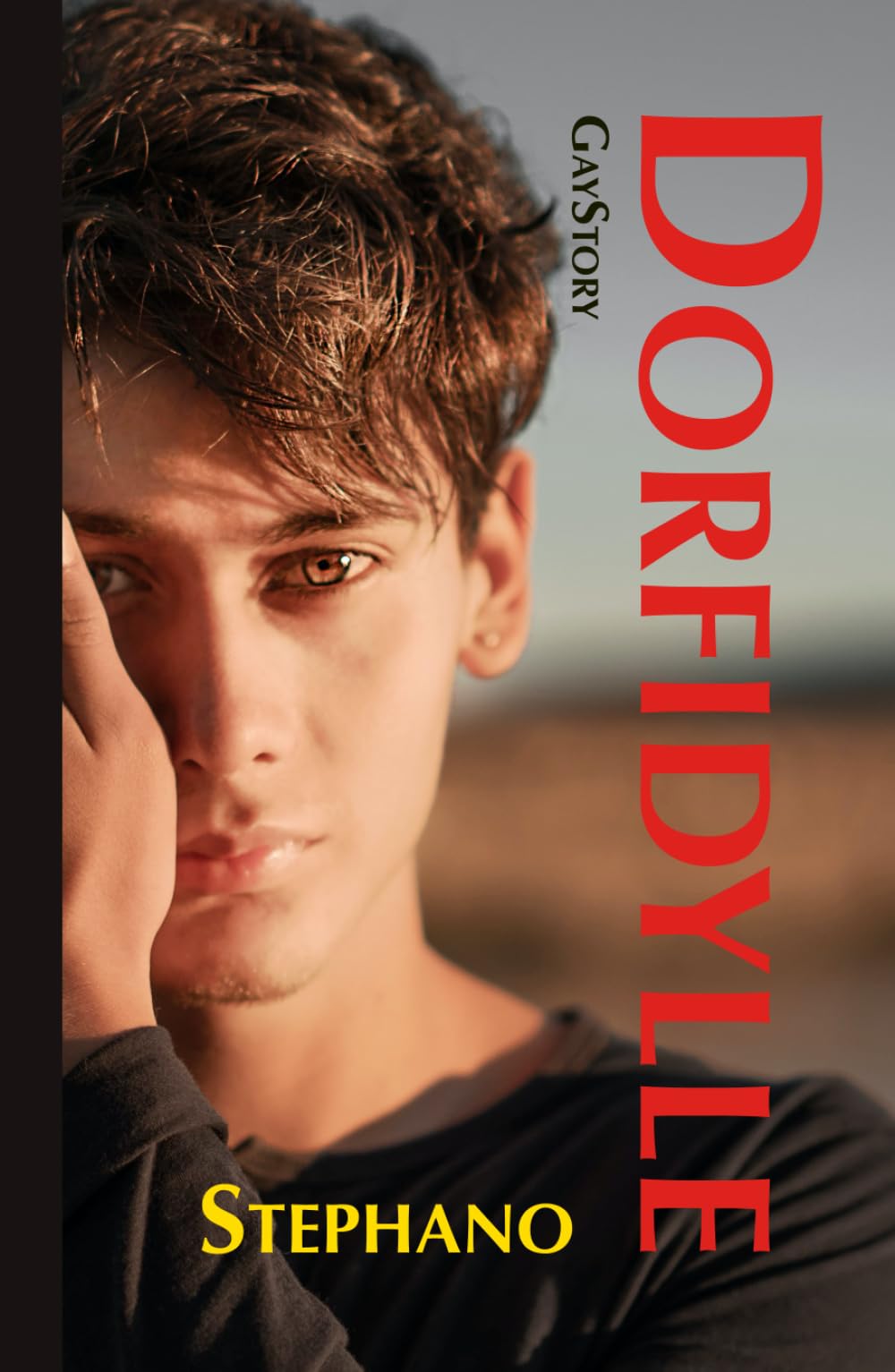 Dorfidylle: GayStory (GayStorys, Band 5) LGBTQ+