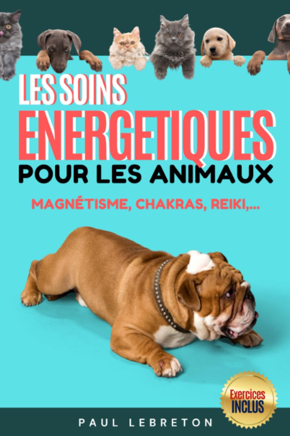 Les Soins Énergétiques pour les Animaux / Reiki, Chakras, Magnétisme, et plus encores: Guide et Exercices des méthodes douces pour vos animaux / ... pour les animaux / Guide en Français ! Religion & Esotericism