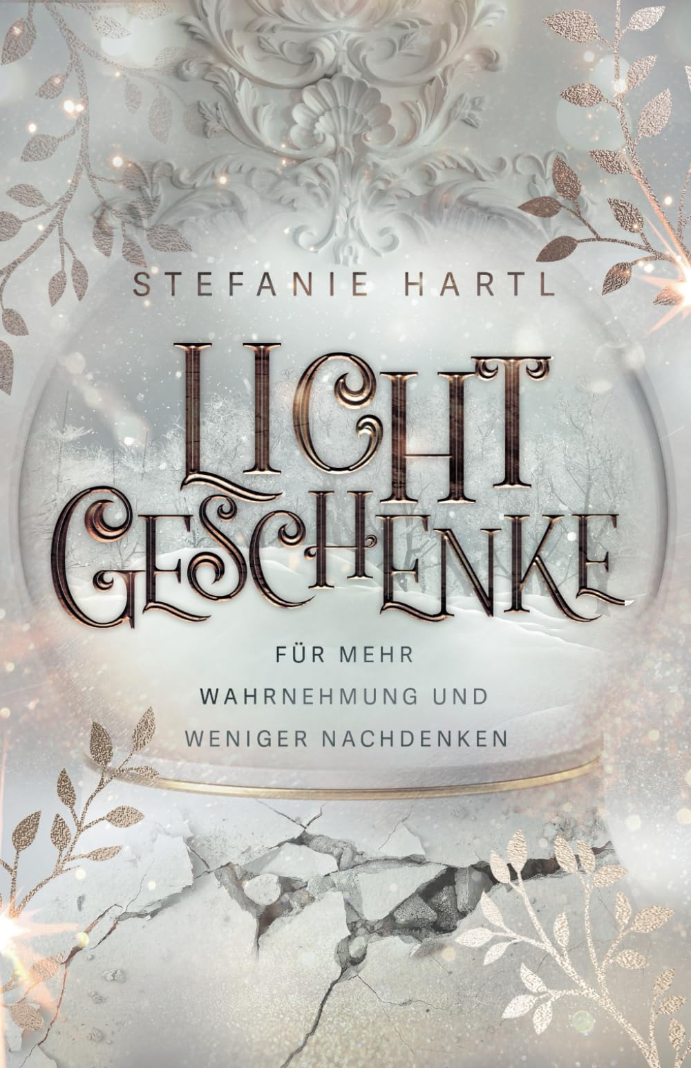 Lichtgeschenke: Für mehr Wahrnehmung und weniger Nachdenken book