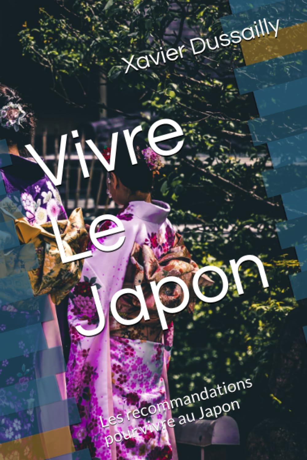 Vivre Le Japon: Les recommandations pour vivre au Japon book