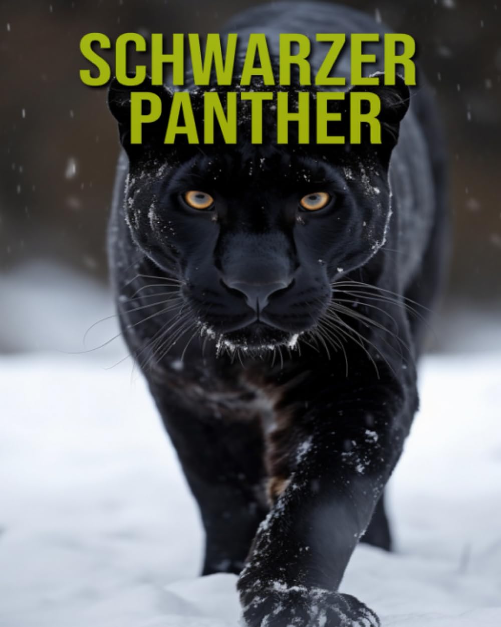 Schwarzer Panther: Unterhaltsames und lehrreiches Buch für Kinder mit erstaunlichen Fakten und Bildern book