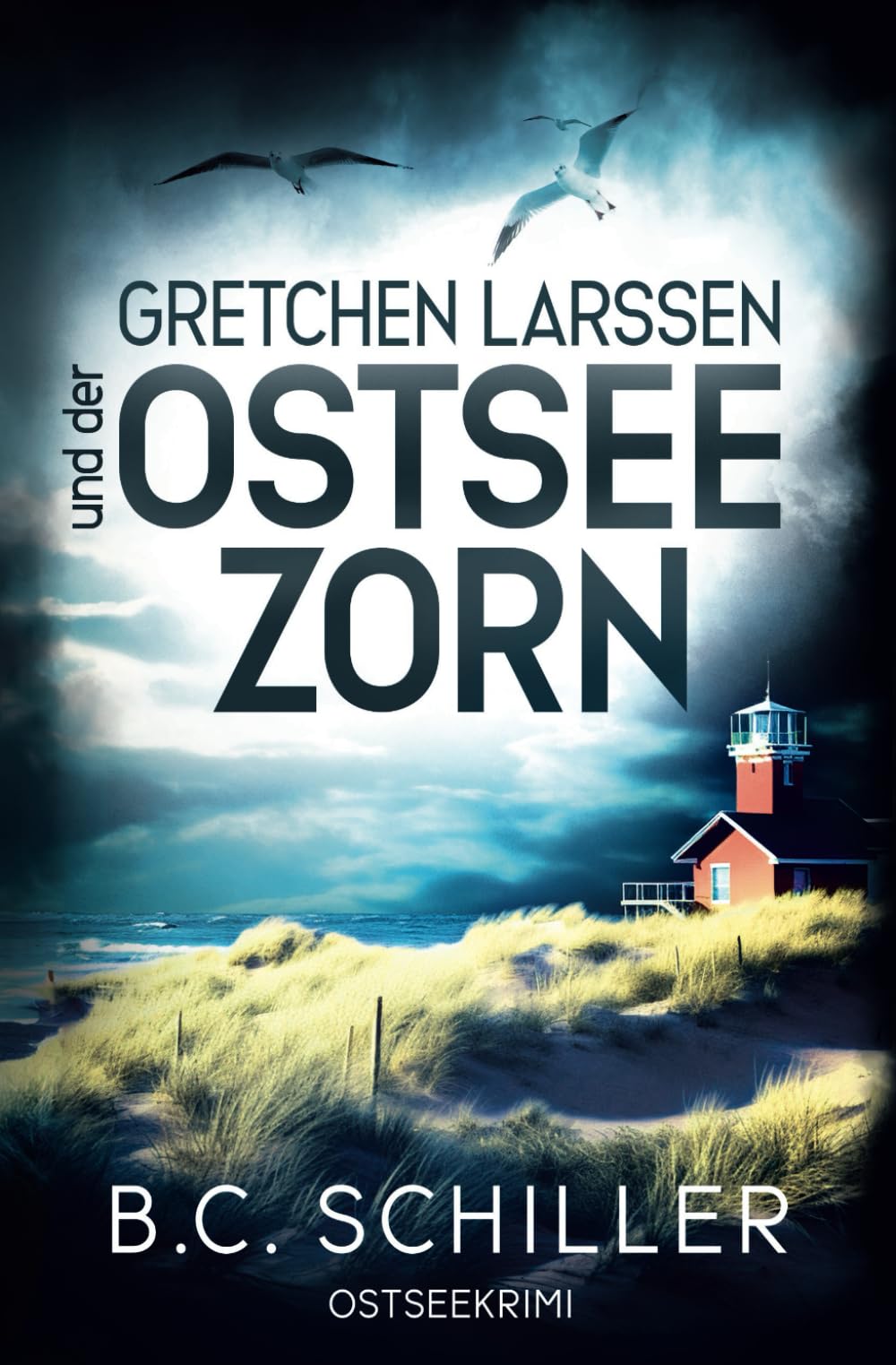 Gretchen Larssen und der Ostseezorn: Ostseekrimi (Ein Fall für Gretchen Larssen, Band 3) Action & Adventure