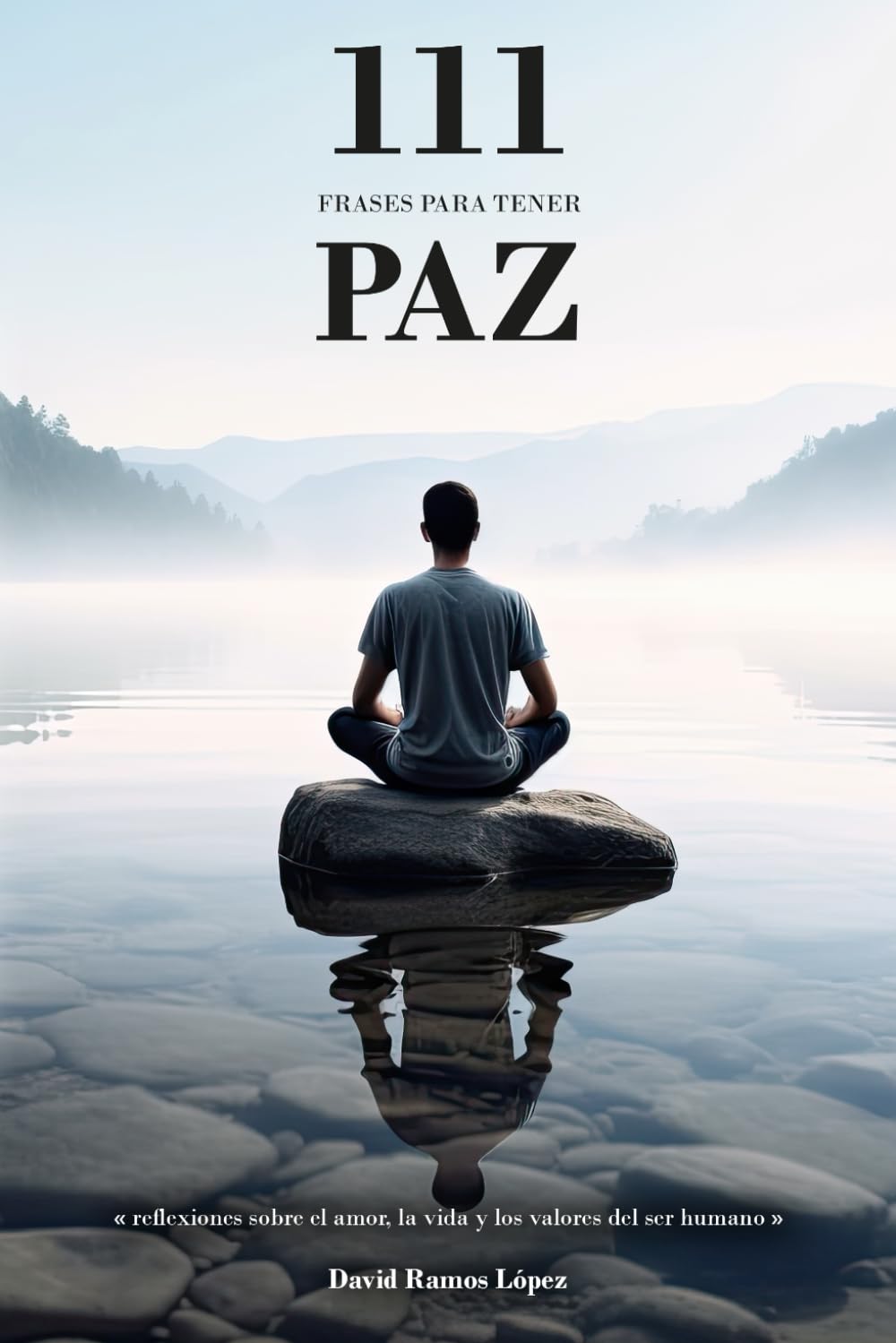 111 Frases para tener paz: Reflexiones sobre el amor, la vida y los valores del ser humano book