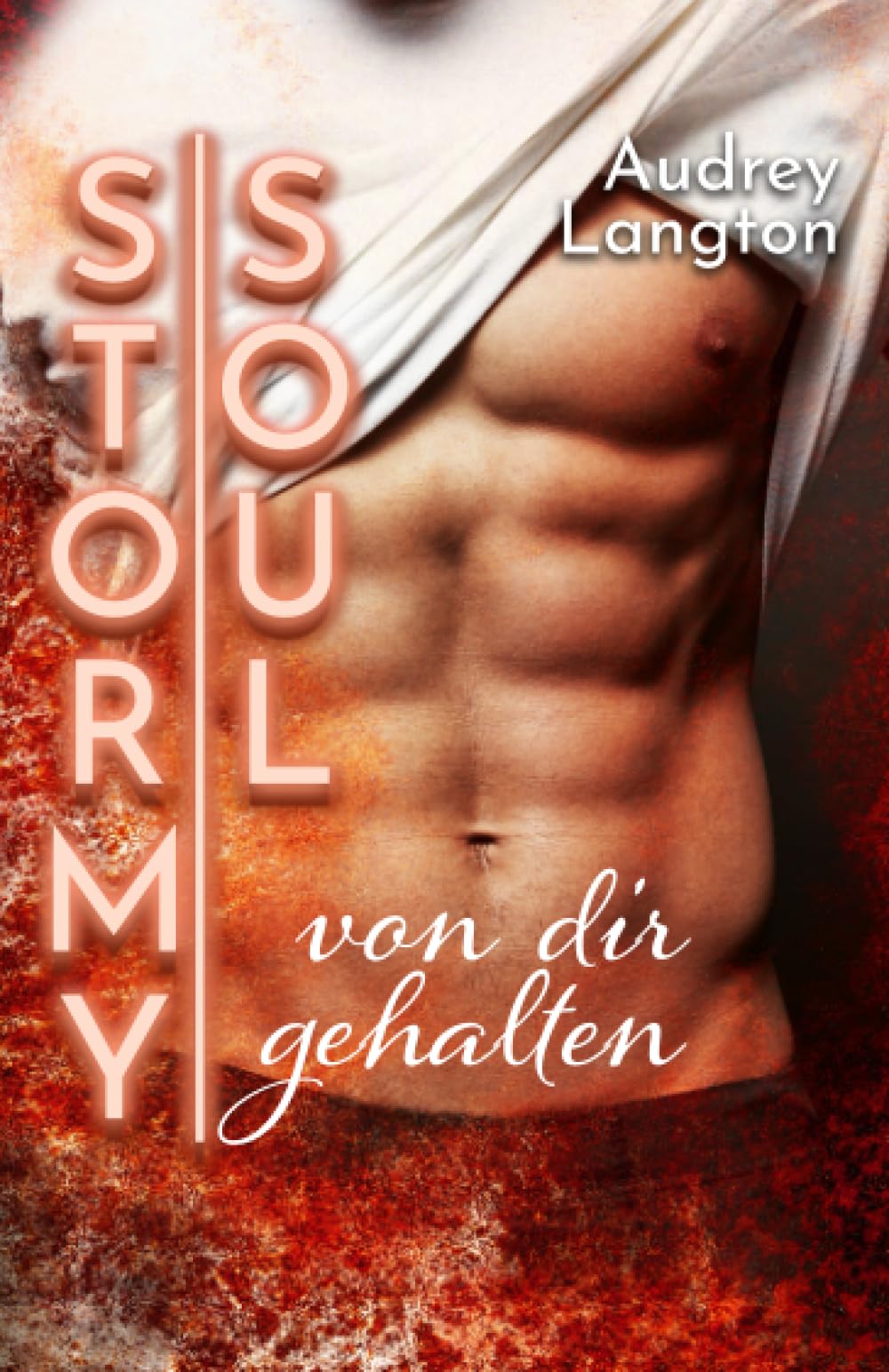 Stormy Soul: von dir gehalten (Stormy-Reihe (Gay-Romance), Band 2) LGBTQ+