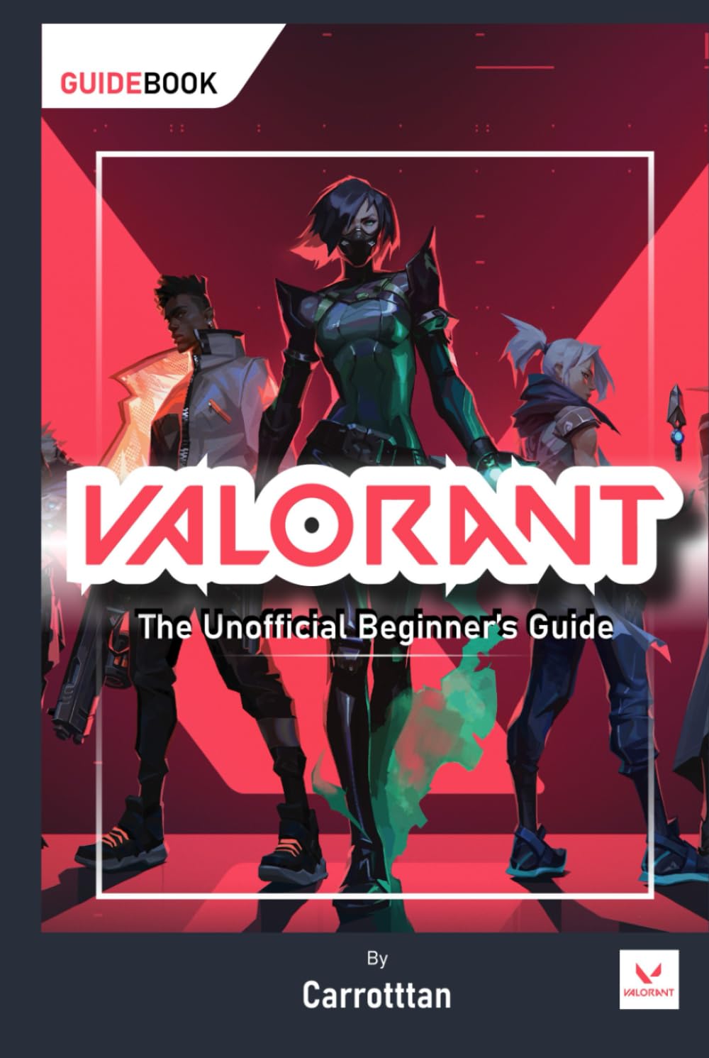 The Unofficial Beginner's Guide to Valorant Books