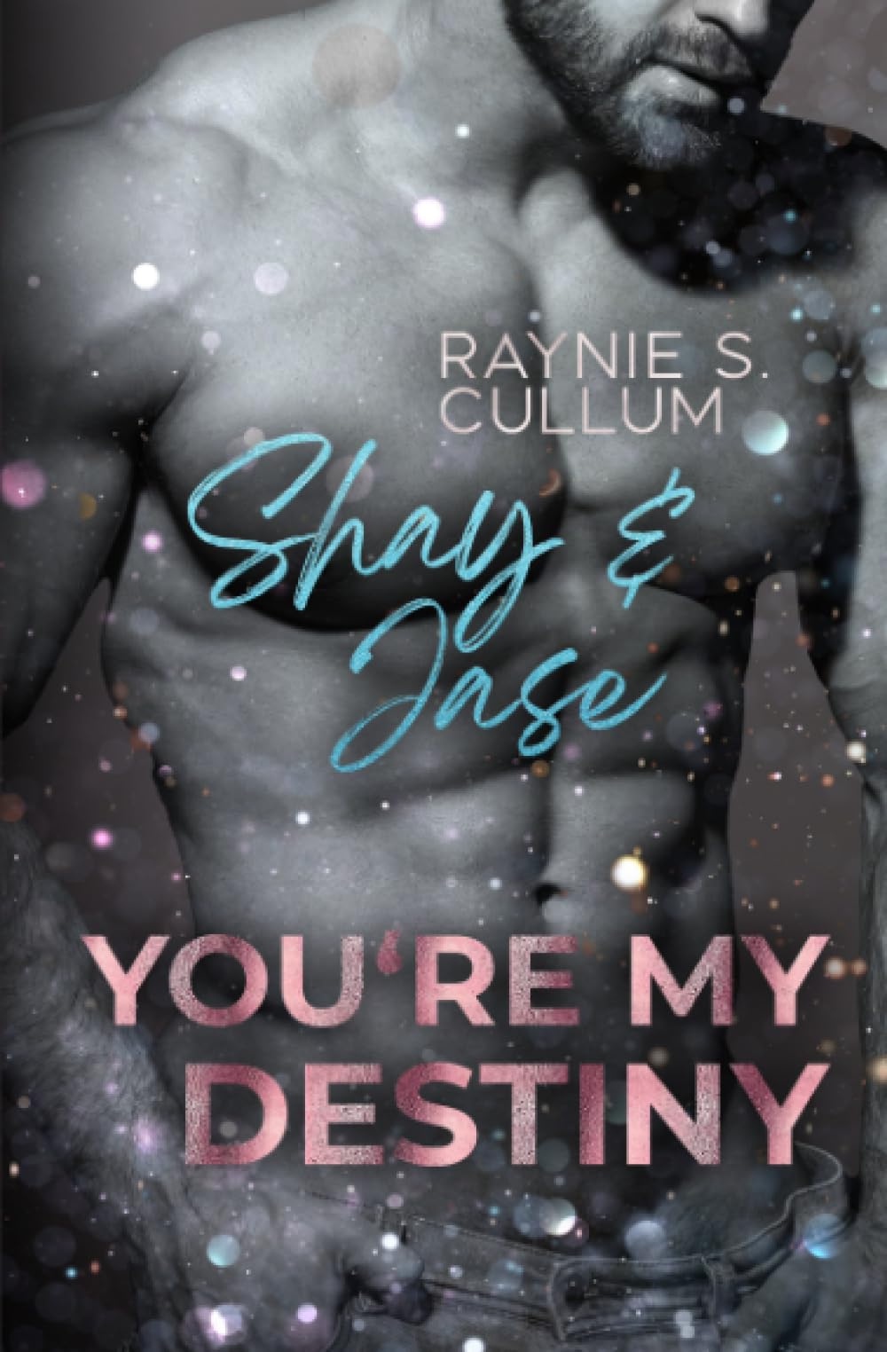 Shay & Jase: YOU´RE MY DESTINY Contemporary literature