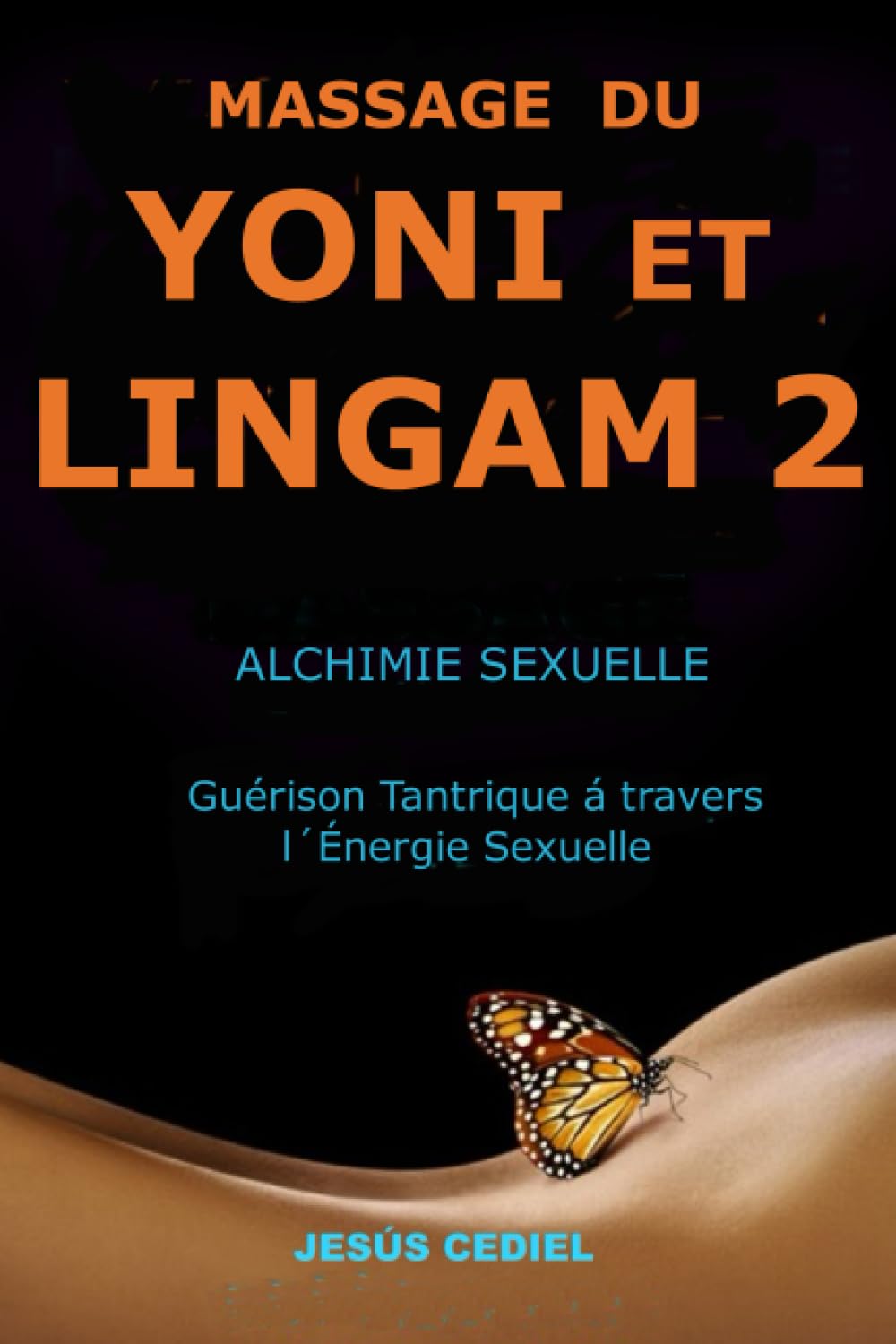 MASSAGE DU YONI ET LINGAM 2: Alchimie Sexuelle. Guérison Tantrique à travers l'Énergie Sexuelle. book