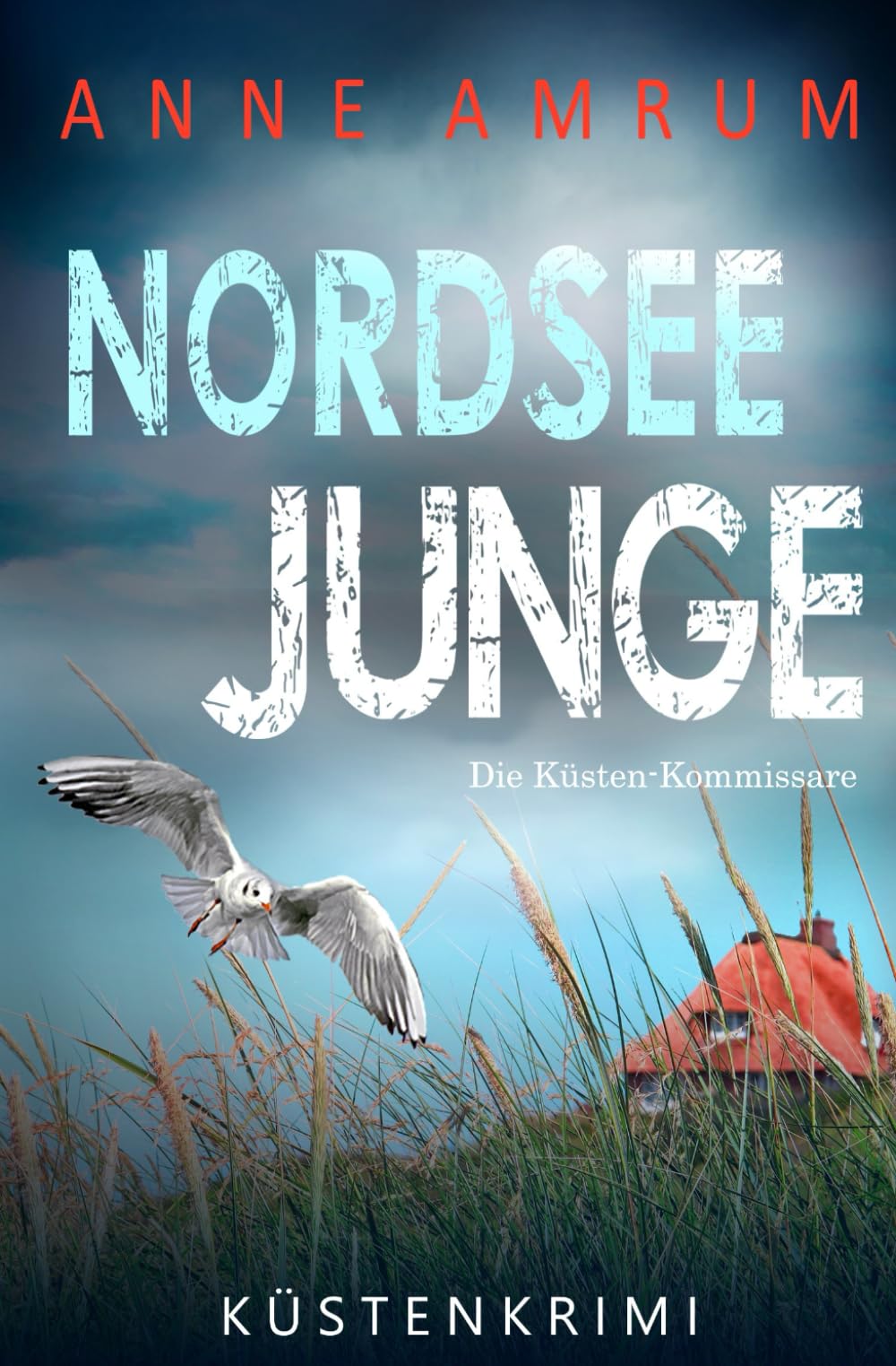 Nordsee Junge - Die Küsten-Kommissare: Küstenkrimi (Die Nordsee-Kommissare, Band 17) Holiday Reading