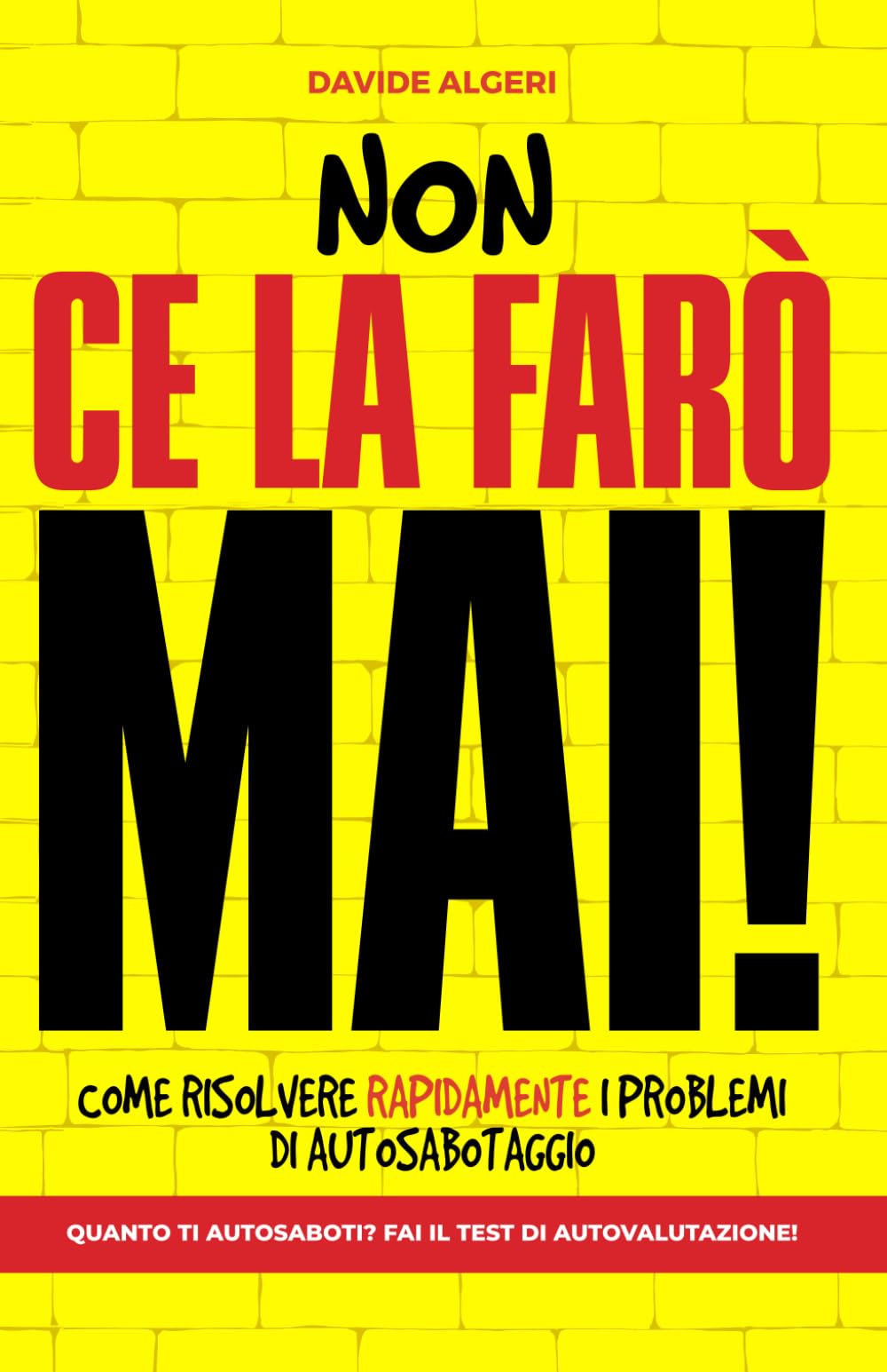 NON CE LA FARÒ MAI!: Come risolvere rapidamente problemi di autosabotaggio book