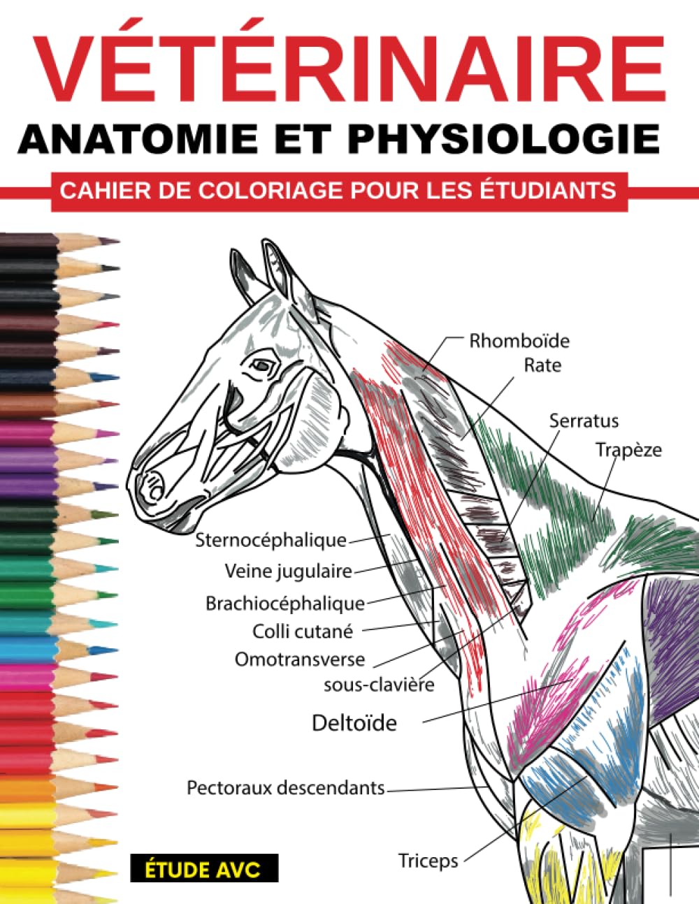 Vétérinaire Anatomie et Physiologie Cahier De Coloriage Pour Les Étudiants: Auto-évaluation facile et efficace, préparation aux tests et révisions ... médecine vétérinaire et en soins infirmiers Medicine