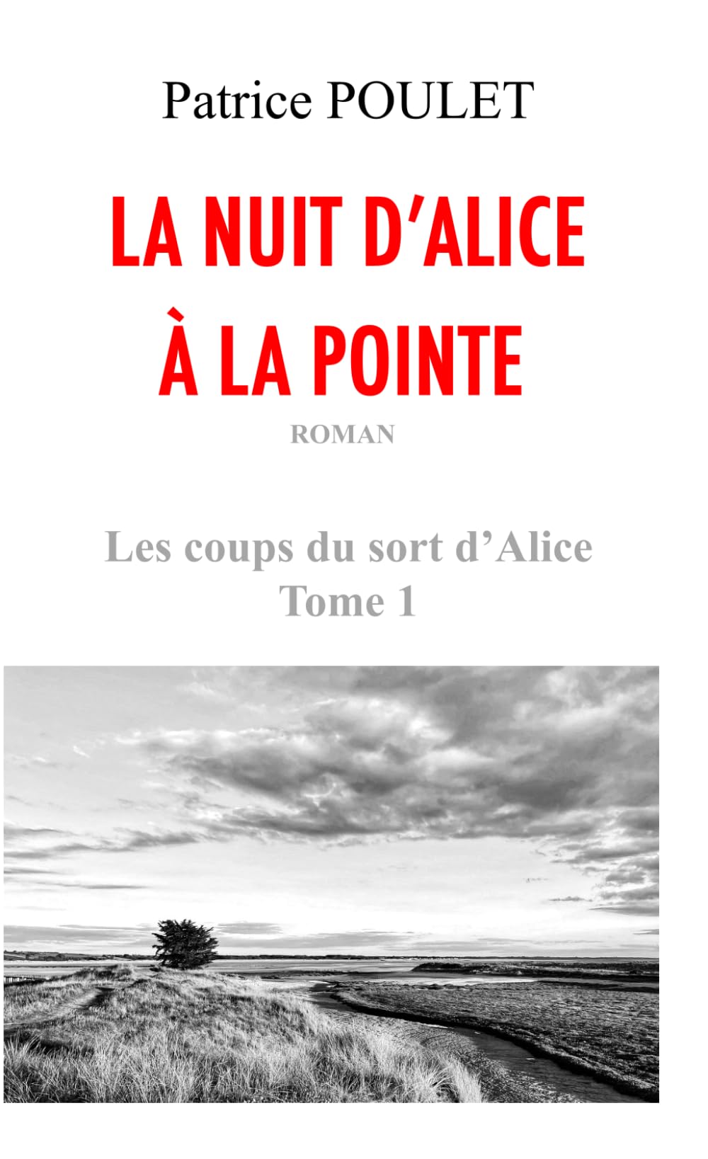 La nuit d'Alice à la Pointe - Édition poche (Les coups du sort d'Alice - Édition poche, Band 1) Detective & CSI