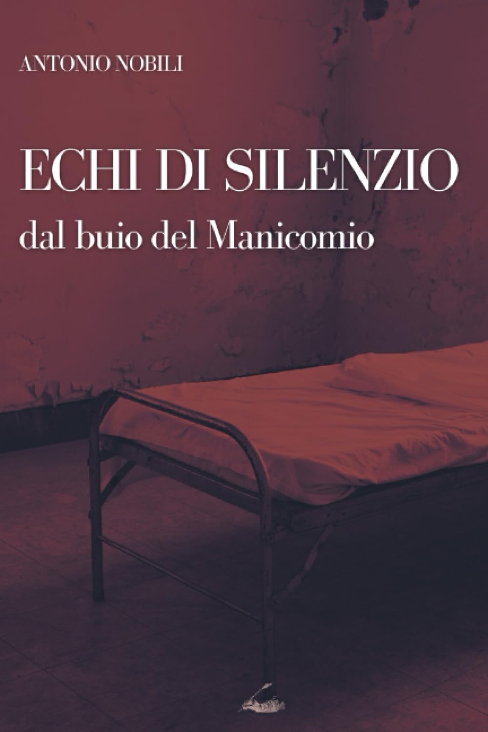 Echi di Silenzio, dal buio del Manicomio Politics & History
