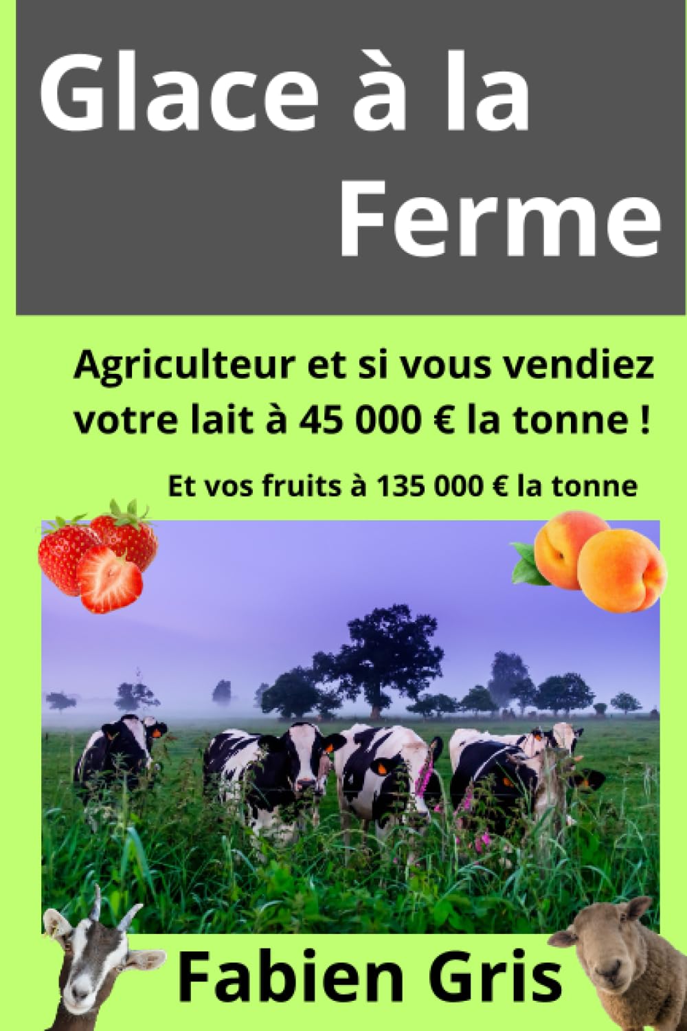 Glace à la ferme: Agriculteur et si vous vendiez votre lait à 45 000 € la tonne ! book