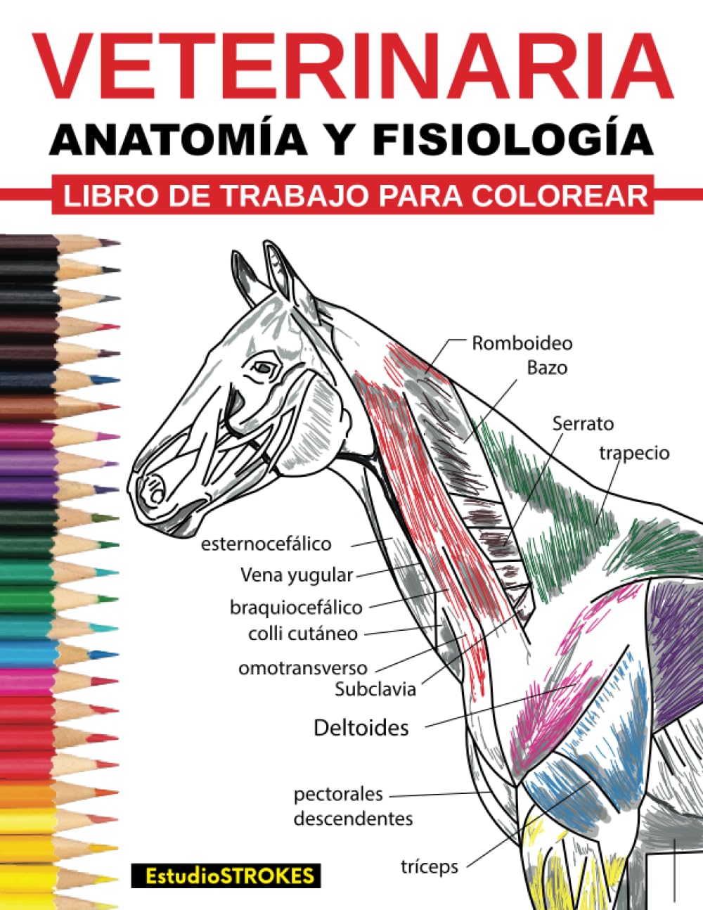 Veterinaria Ibro De Trabajo Para Colorear Anatomía Y Fisiología Libro De Trabajo Para Colorear: Guía de Estudio de Autoevaluación, Preparación de ... de Medicina Veterinaria y Enfermería Books