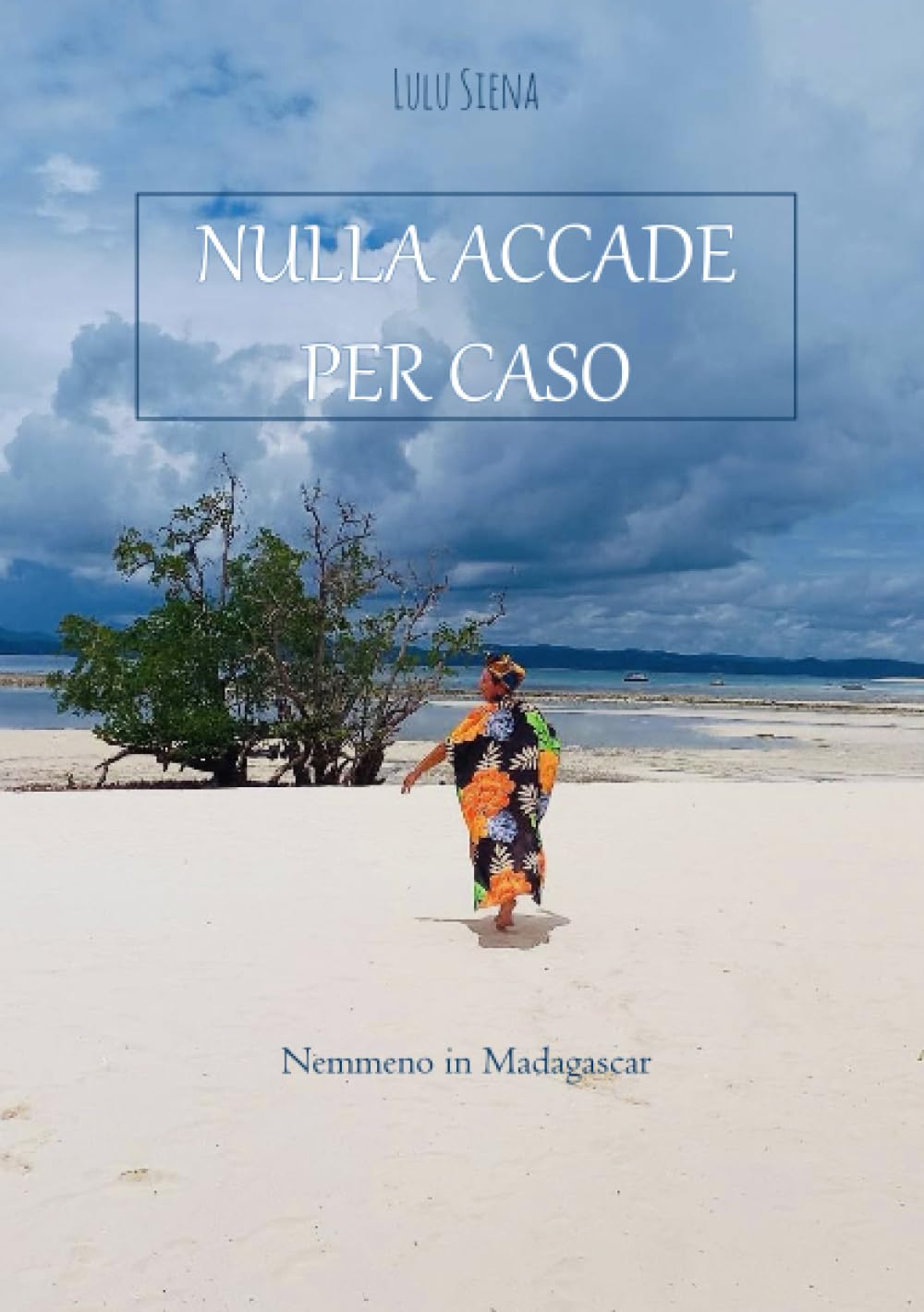 Nulla accade per caso: Nemmeno in Madagascar Contemporary literature