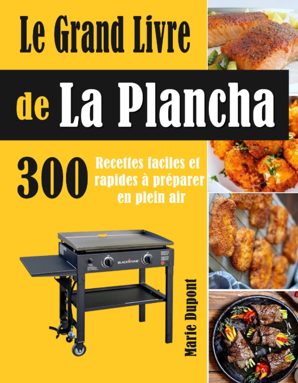 Le Grand Livre de La Plancha: 300 Recettes faciles et rapides à préparer en plein air book