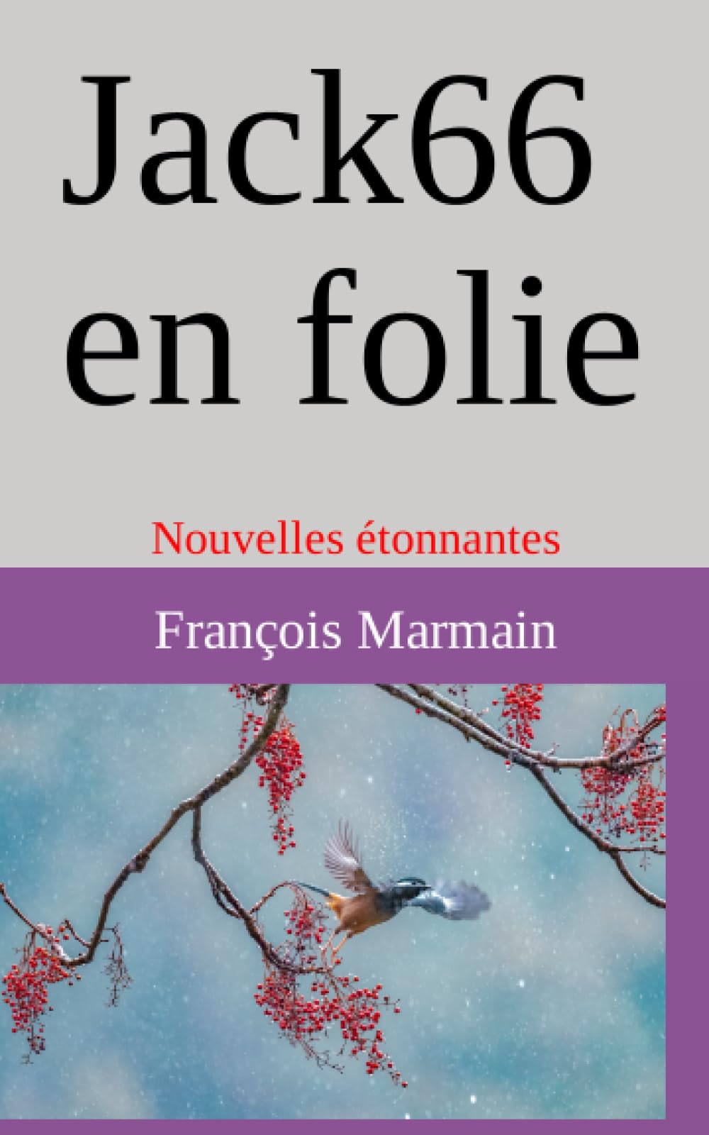 Jack66 en folie: Nouvelles étonnantes Romantic Thrillers