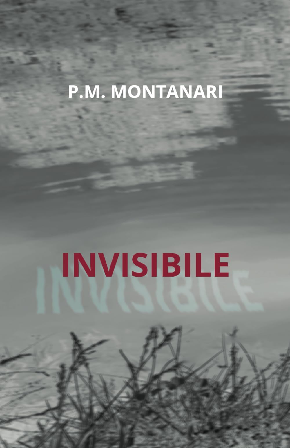 Invisibile Suspense & Thrillers