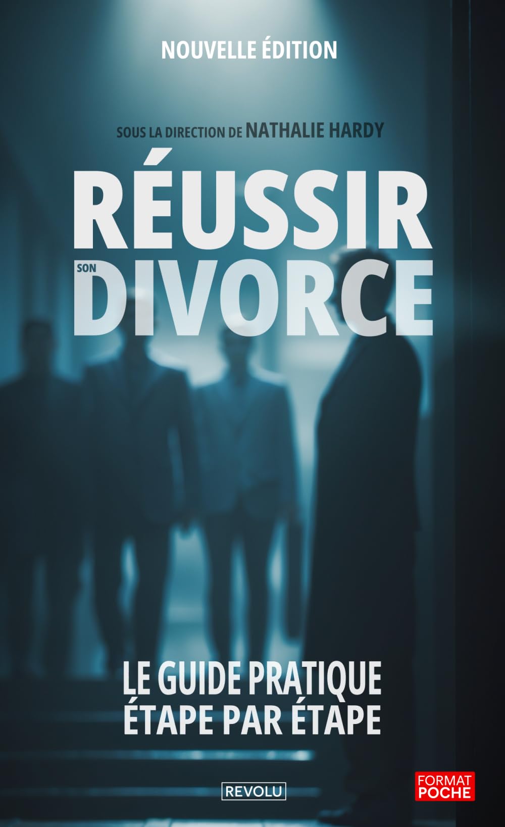 Réussir son Divorce: Le Guide Pratique Étape par Étape book