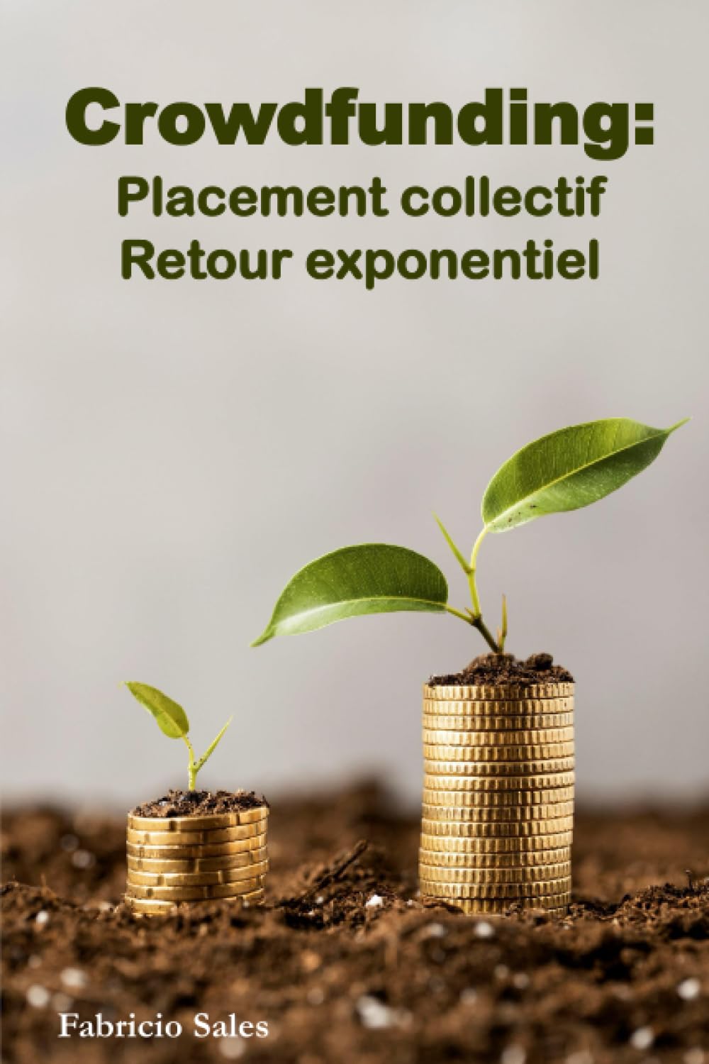 Crowdfunding: Placement collectif Retour exponentiel Business, Finance & Career