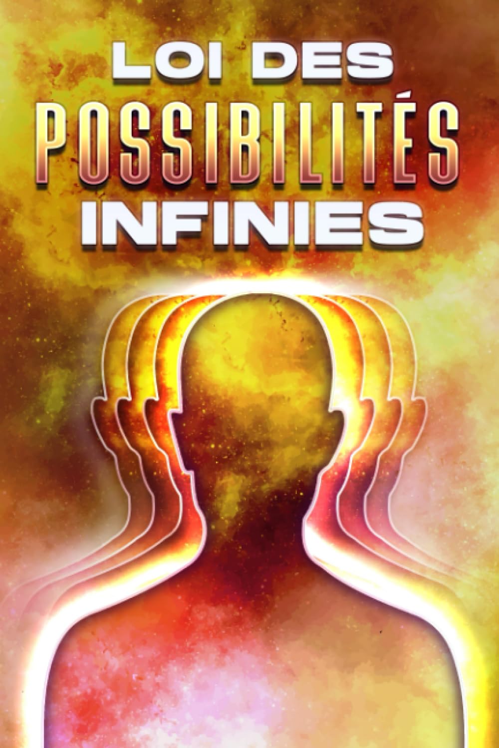 LOI DES POSSIBILITÉS INFINIES: Les lois de l'univers #15 book
