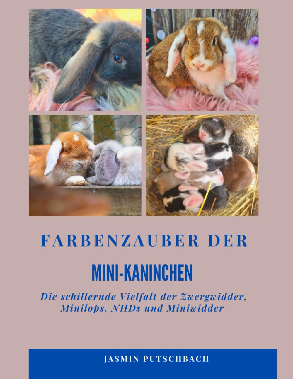 Farbenzauber der Mini-Kaninchen: Die schillernde Vielfalt der Zwergwidder, Minilops, NHDs und Miniwidder Natural Sciences