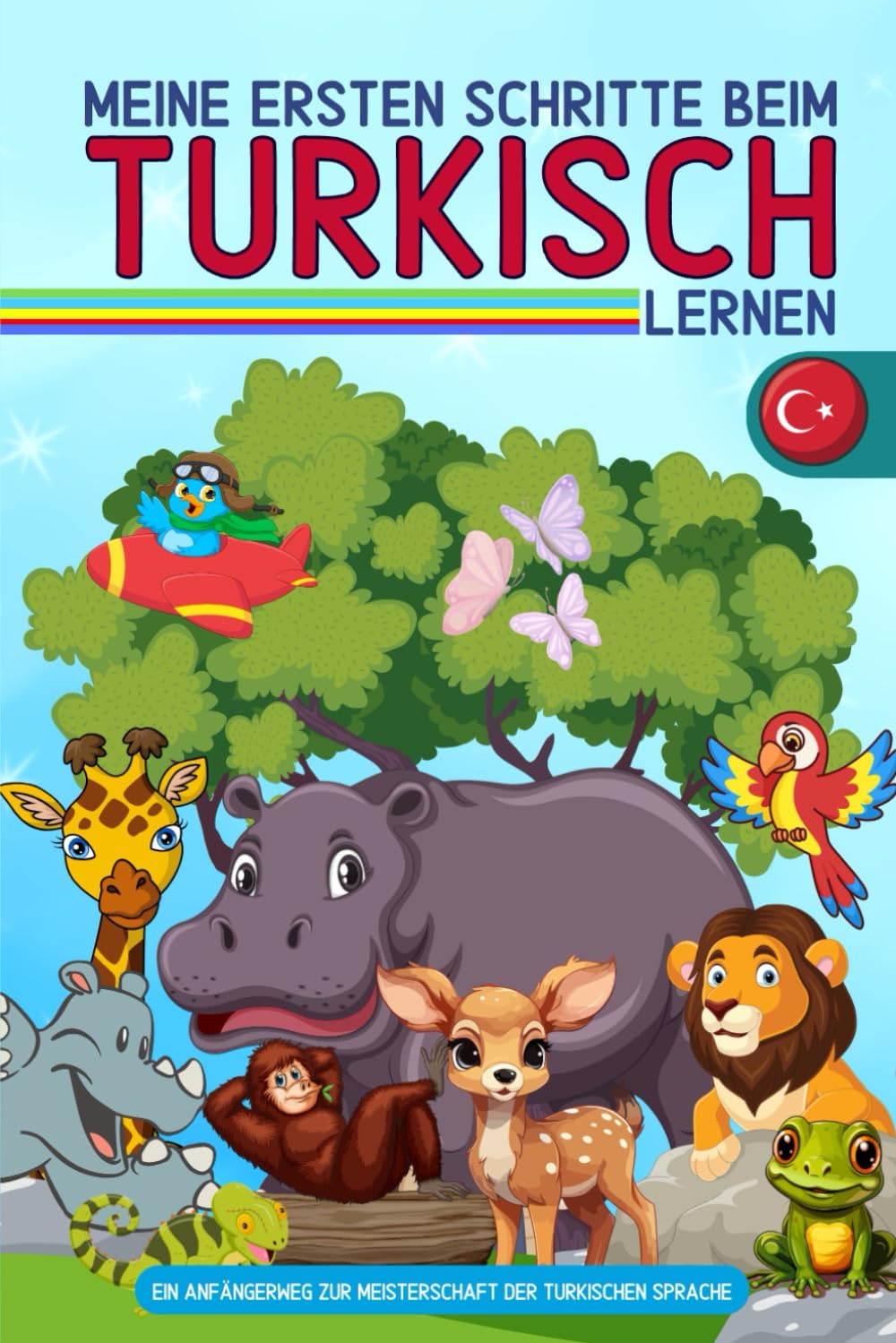 Meine ersten Schritte beim türkisch lernen: Ein Anfängerweg zur Meisterschaft der türkischen Sprache: Lernen mit Spaß book