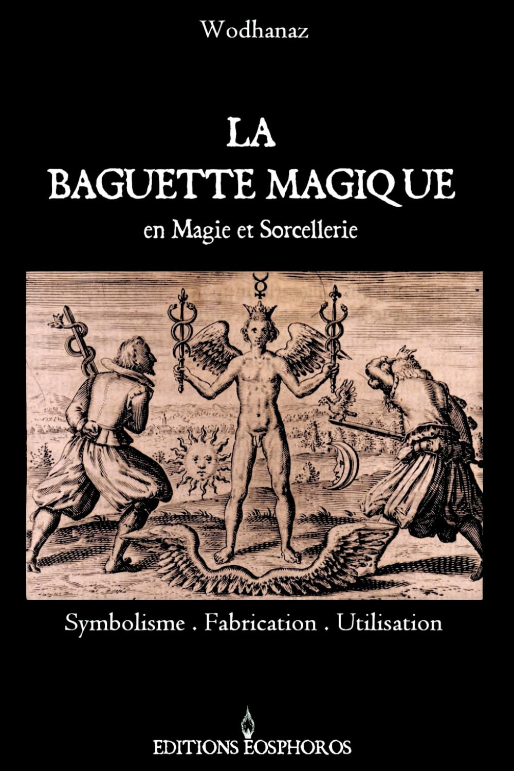 La Baguette Magique: Symbolisme - Fabrication - Utilisation book