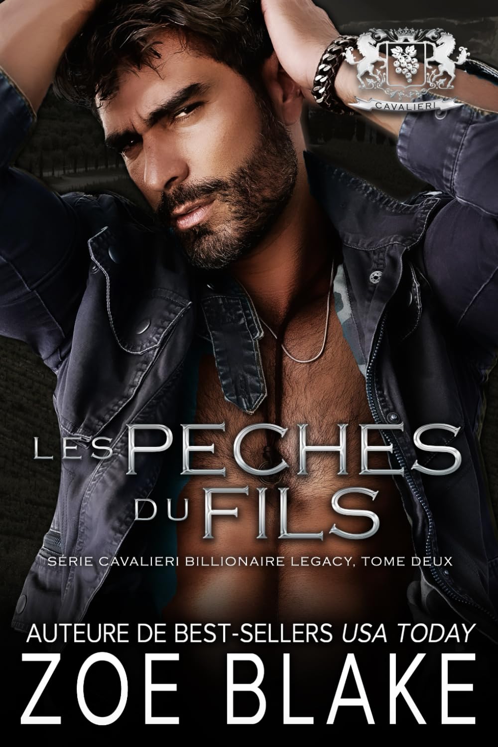 Les Péchés du Fils: Une Romance Sombre book