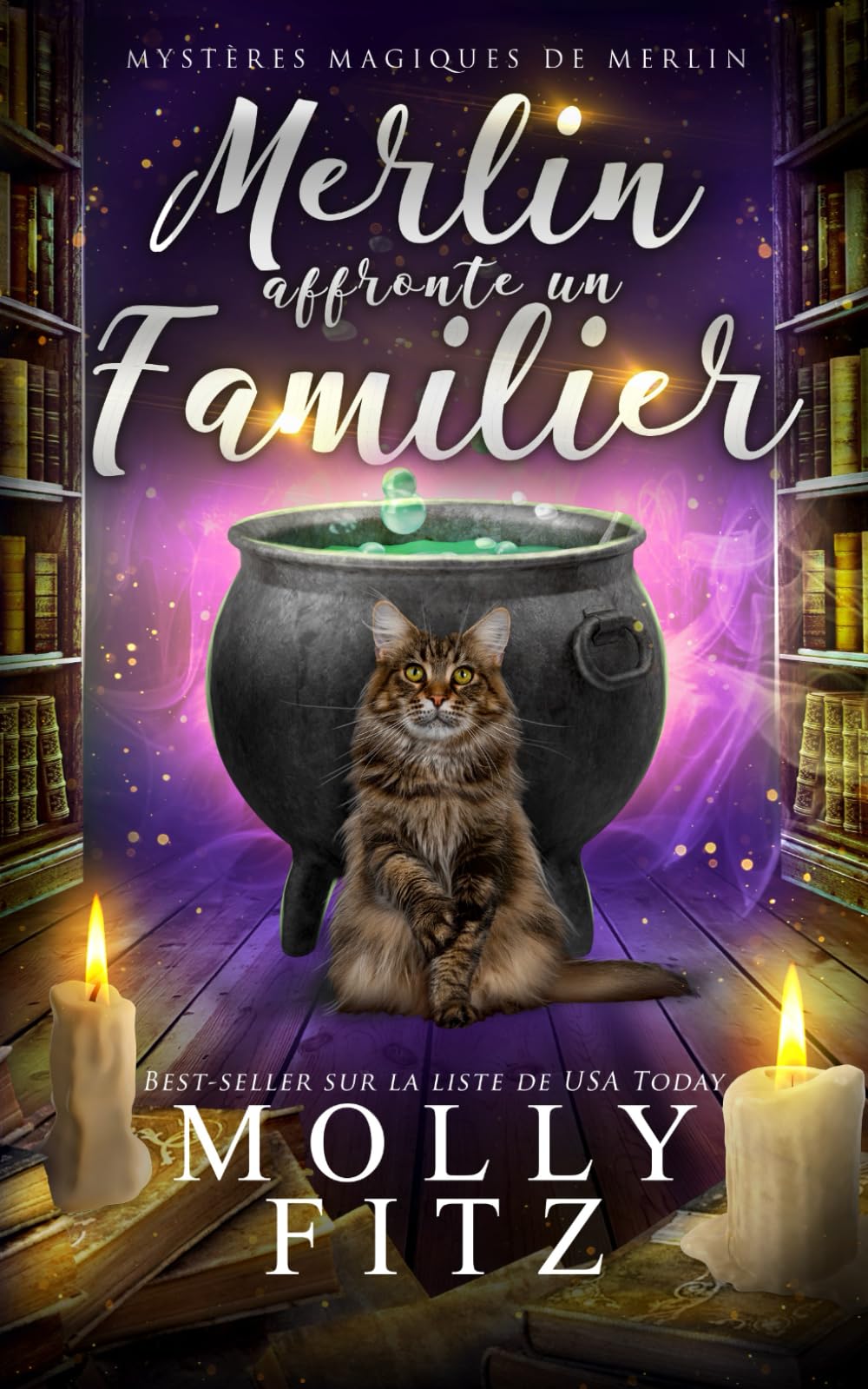 Merlin affronte un familier (Mystères Magiques de Merlin, Band 1) Detective & CSI