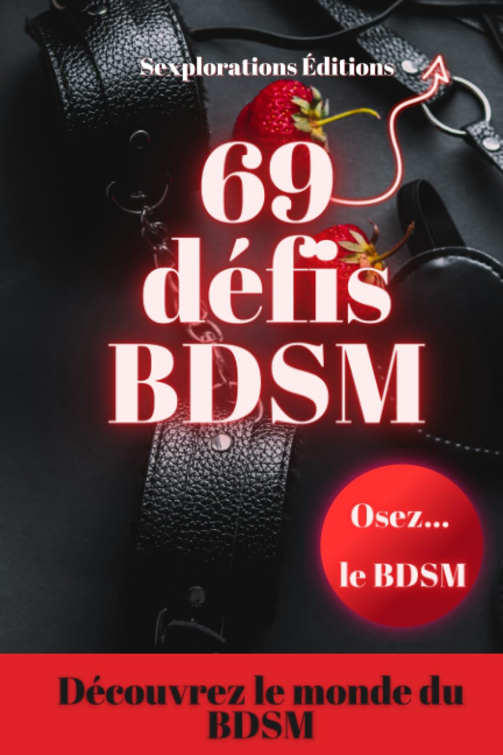69 Défis BDSM - Initiation au BDSM - Exploration BDSM pour débutant - des idées pour raviver la flamme - Des défis pour booster votre vie sexuelle: ... relation : les défis hot à relever ensemble LGBTQ+