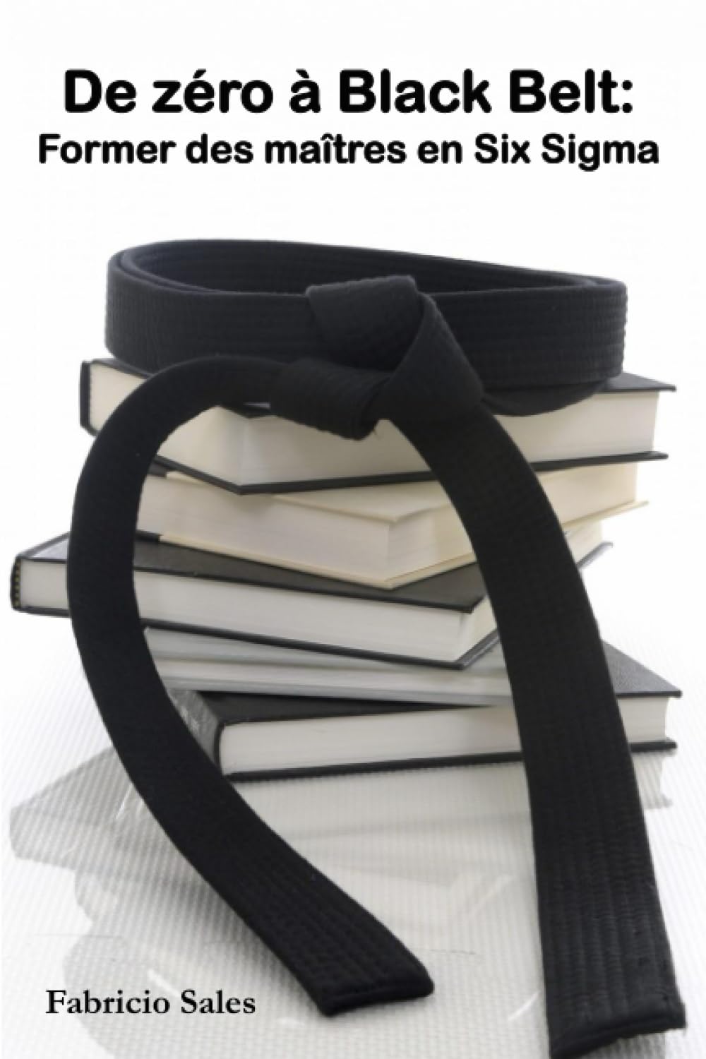 De zéro à Black Belt: Former des maîtres en Six Sigma book