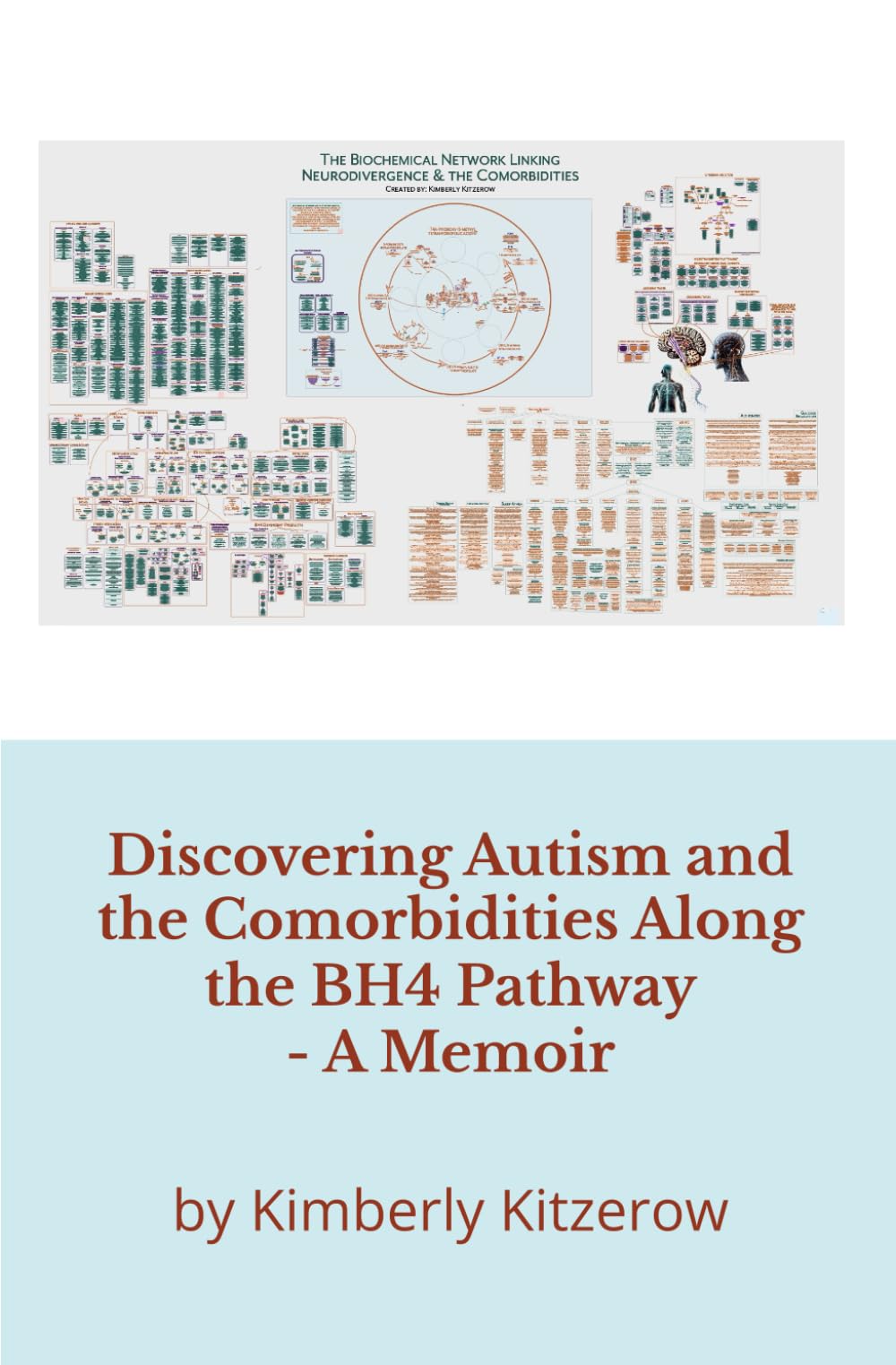 Discovering Autism and the Comorbidities Along the BH4 Pathway Memories