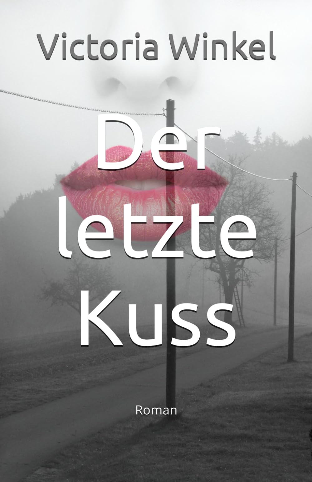 Der letzte Kuss: Roman Contemporary literature