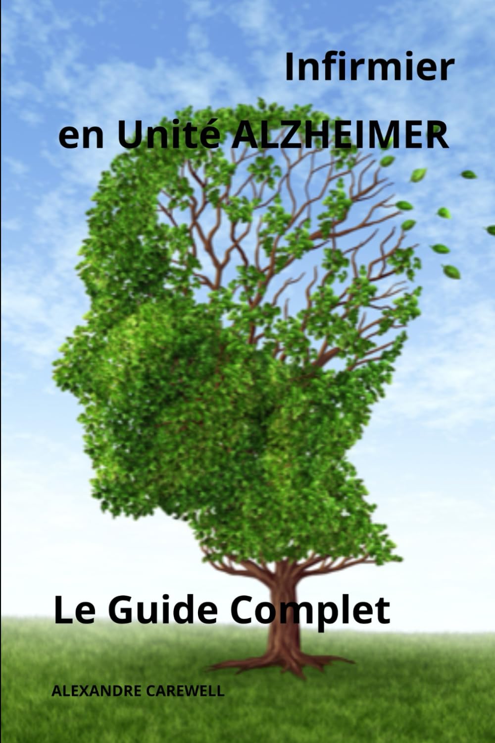 Infirmier en Unité Alzheimer - Le Guide Complet book