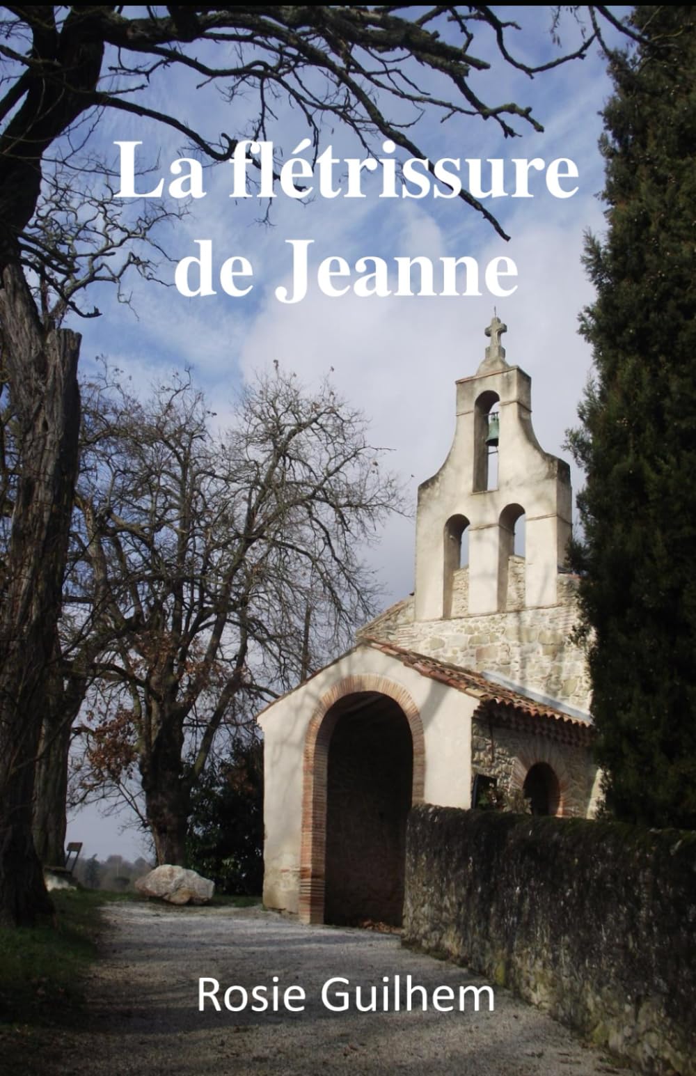 LA FLETRISSURE DE JEANNE book