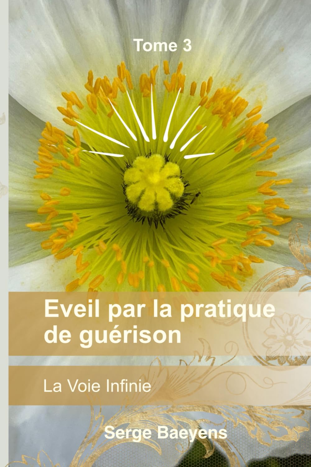 Eveil par la pratique de guérison: Inspiré par la Voie Infinie (Pratique de la Voie Infinie, Band 3) Books
