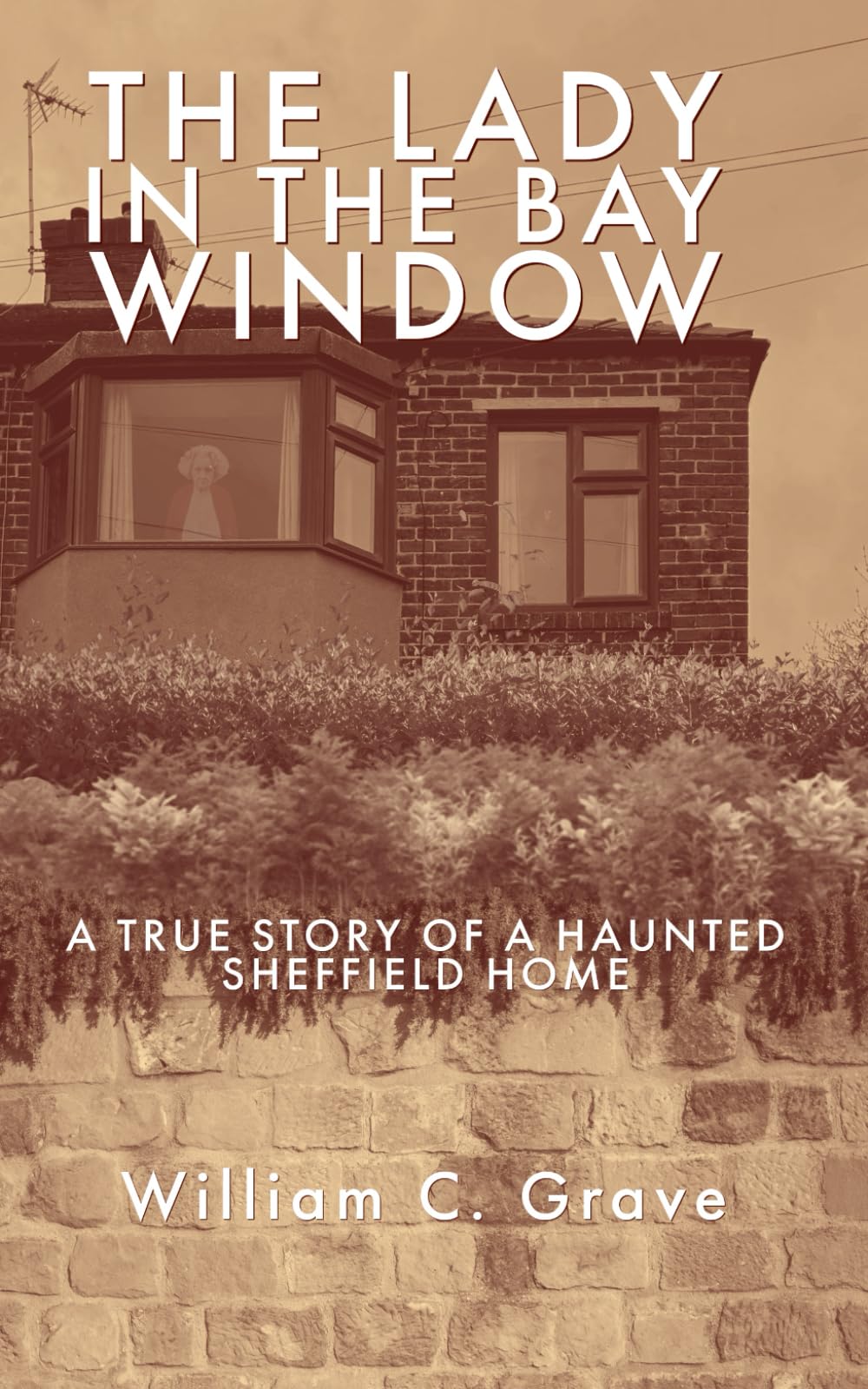 The Lady in the Bay Window: A true story of a haunted Sheffield home book