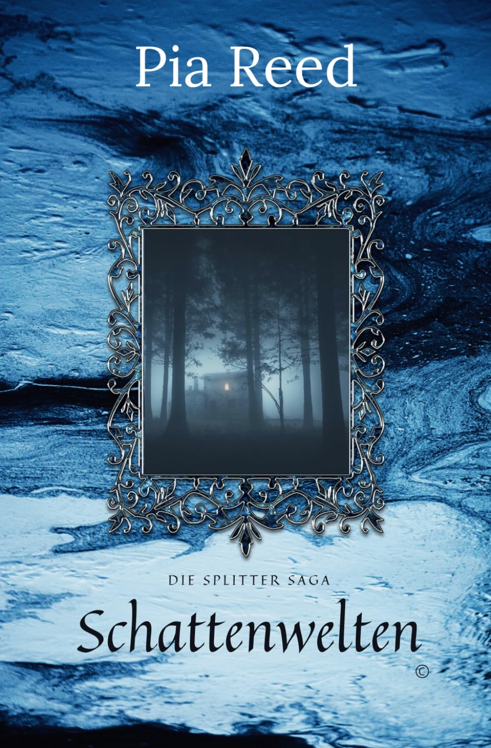 Die Splitter Saga: Schattenwelten Action & Adventure